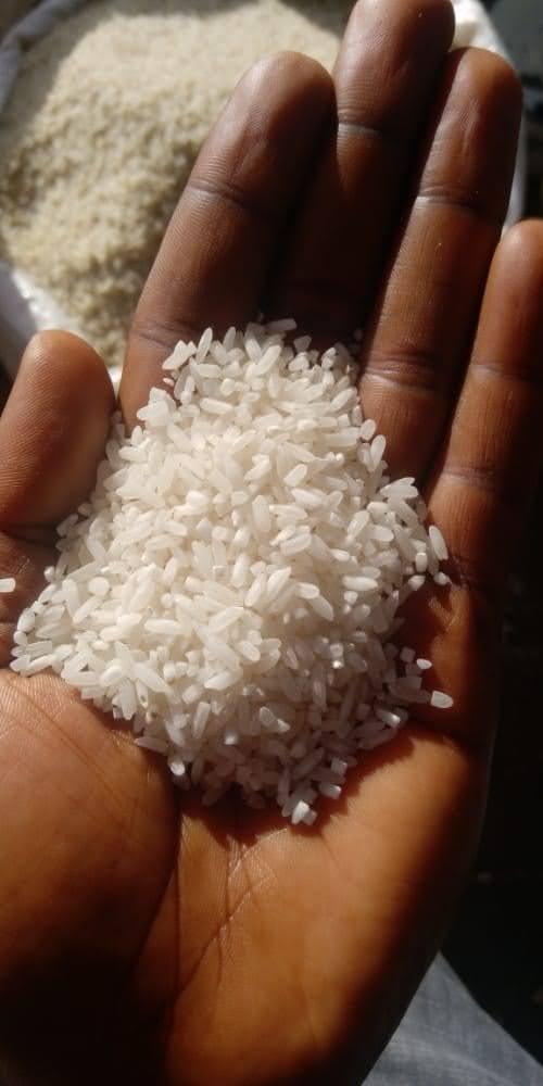 Rice selected for household and commercial supply