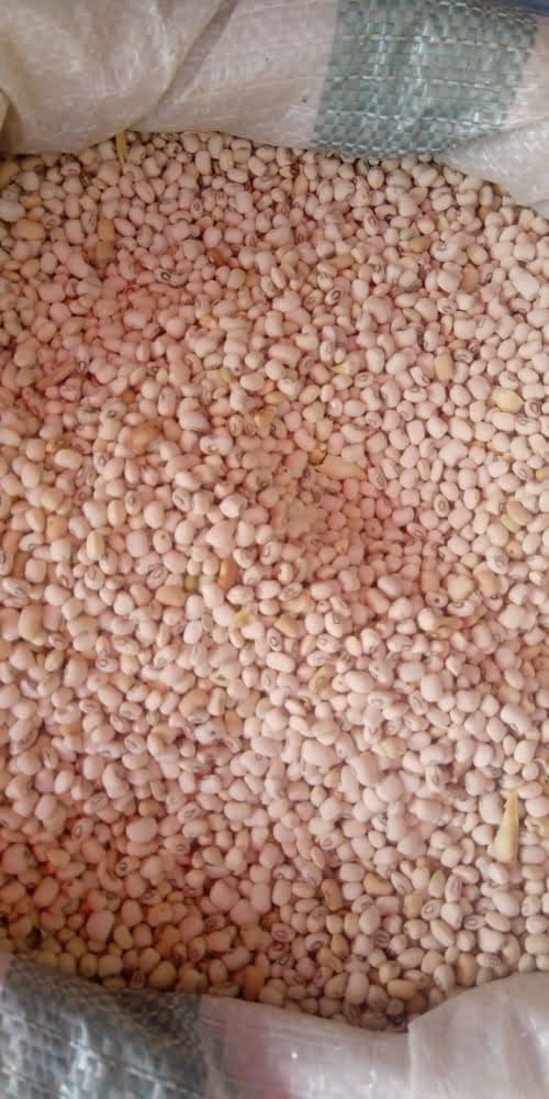 Wazobia Foods and Spice House