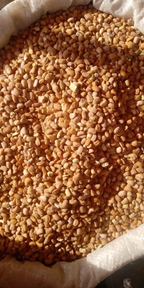 Agricultural produce gathered for handling